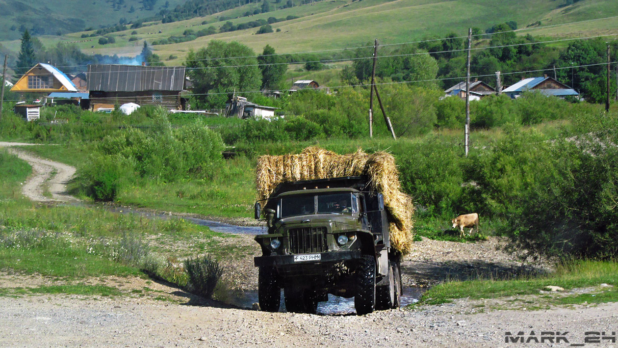 Восточно-Казахстанская область, № F 423 PHM — Урал-375 (общая модель)
