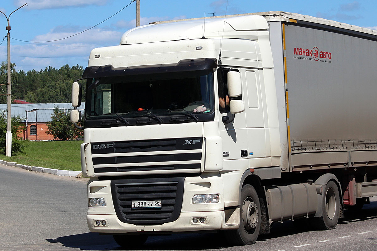 Воронежская область, № Н 888 ХУ 36 — DAF XF105 FT — Фото — Фототрак