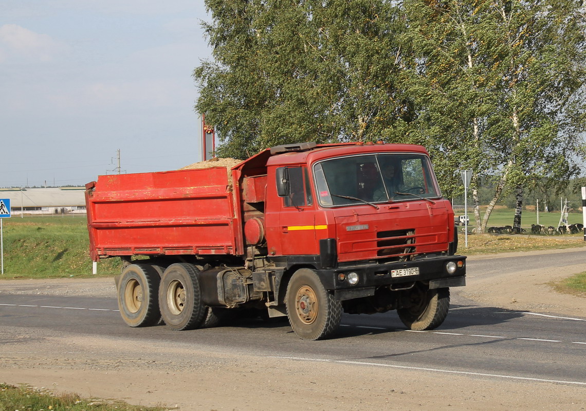 Могилёвская область, № АЕ 3190-6 — Tatra 815 S3