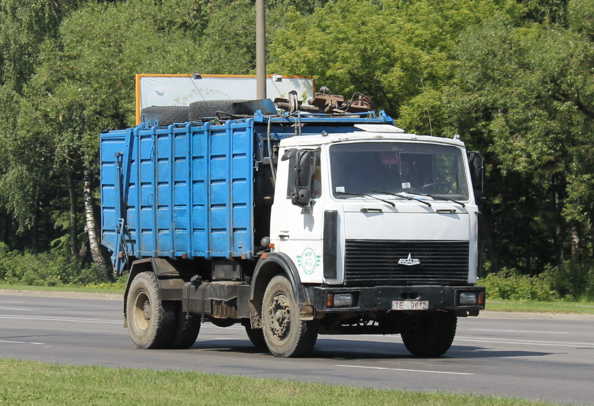 Могилёвская область, № ТЕ 9612 — МАЗ-5337 (общая модель)