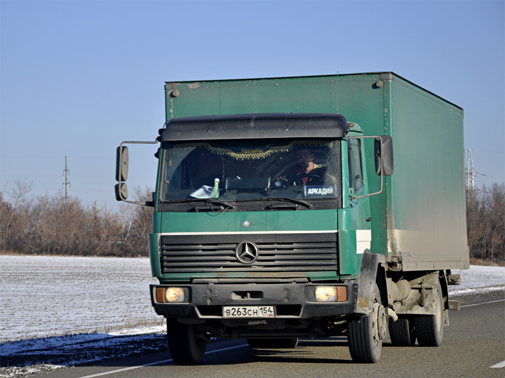Новосибирская область, № В 263 СН 154 — Mercedes-Benz LK (общ. мод.)