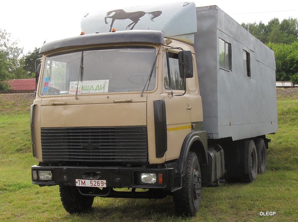 Могилёвская область, № ТМ 5269 — МАЗ-6303 (общая модель)