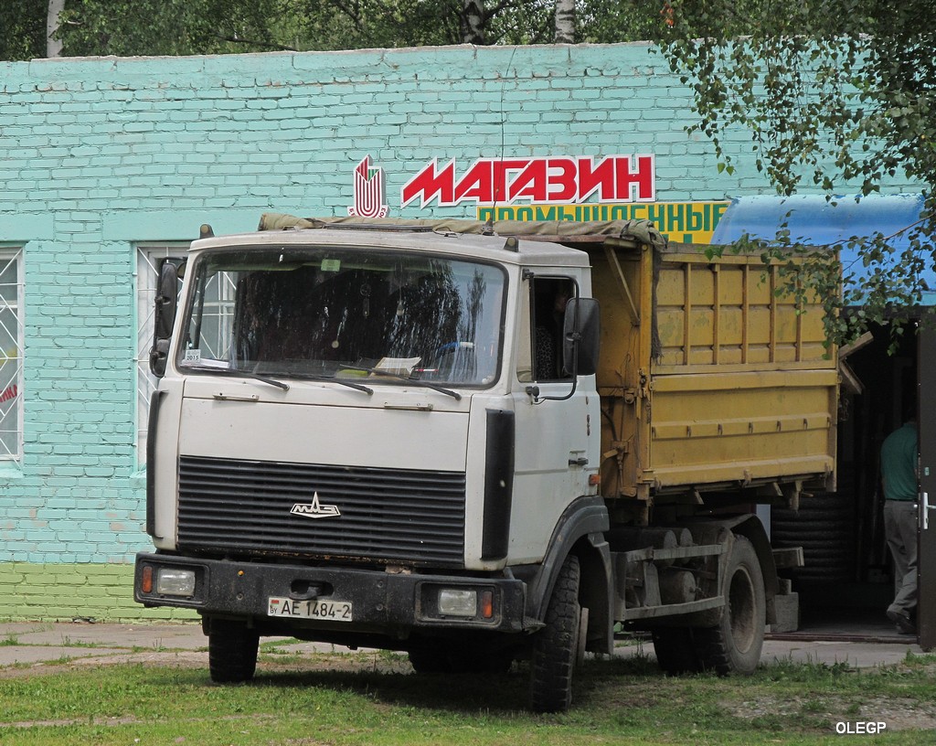 Витебская область, № АЕ 1484-2 — МАЗ-4570 (общая модель)