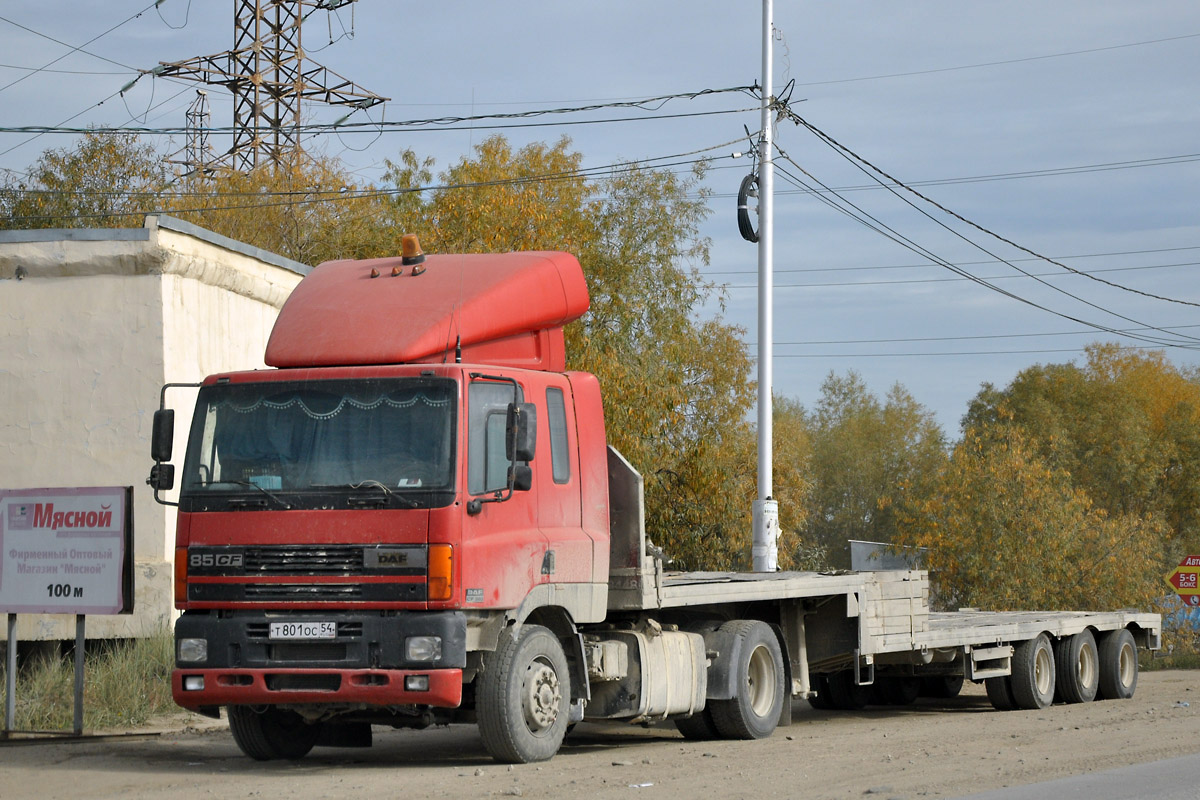 Новосибирская область, № Т 801 ОС 54 — DAF 85 (CF) FT