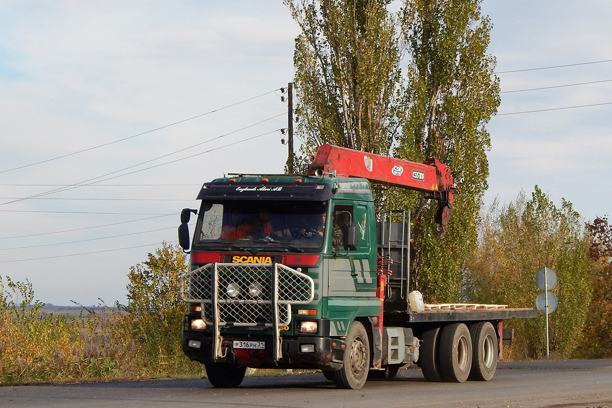 Белгородская область, № Р 316 РН 31 — Scania (III) (общая модель)