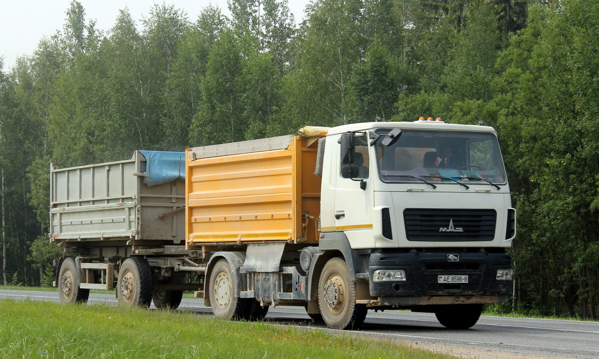 Могилёвская область, № АЕ 8596-6 — МАЗ-5550 (общая модель)