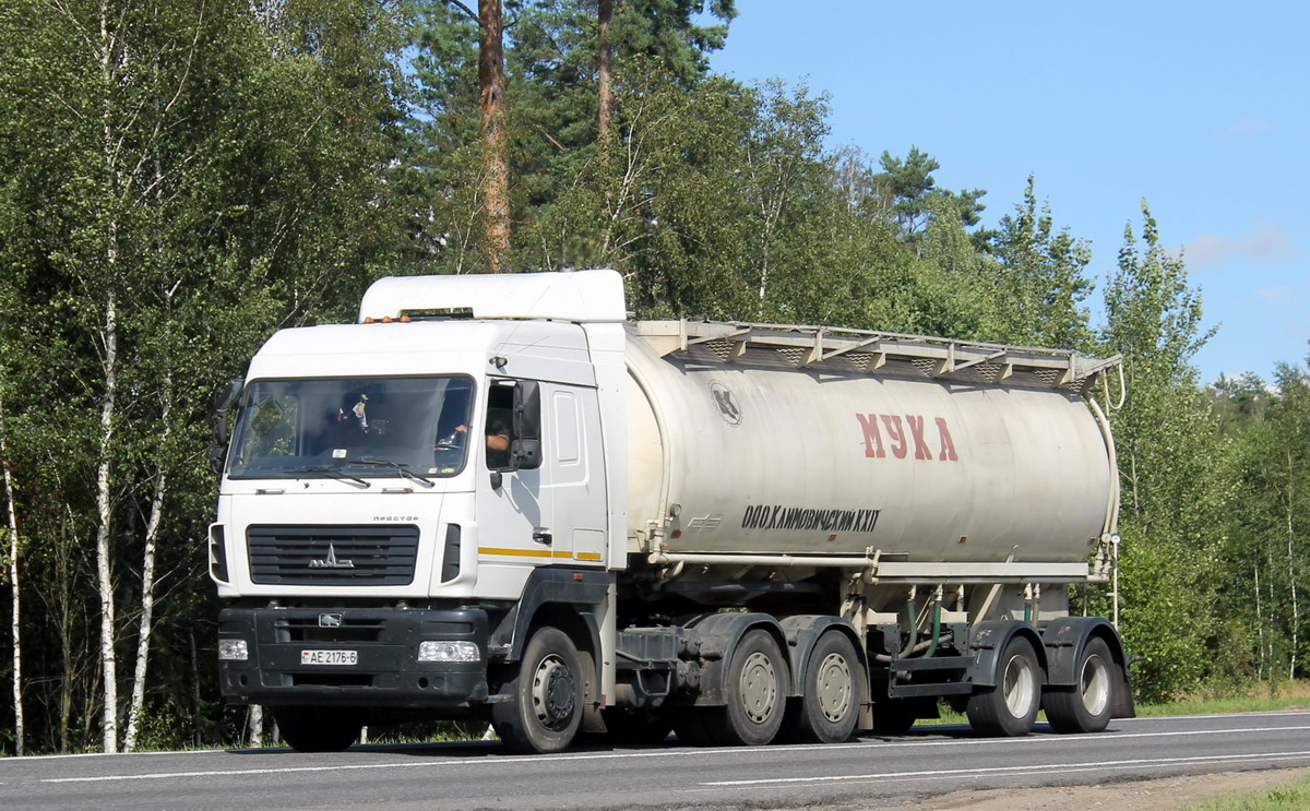 Могилёвская область, № АЕ 2176-6 — МАЗ-6430 (общая модель)