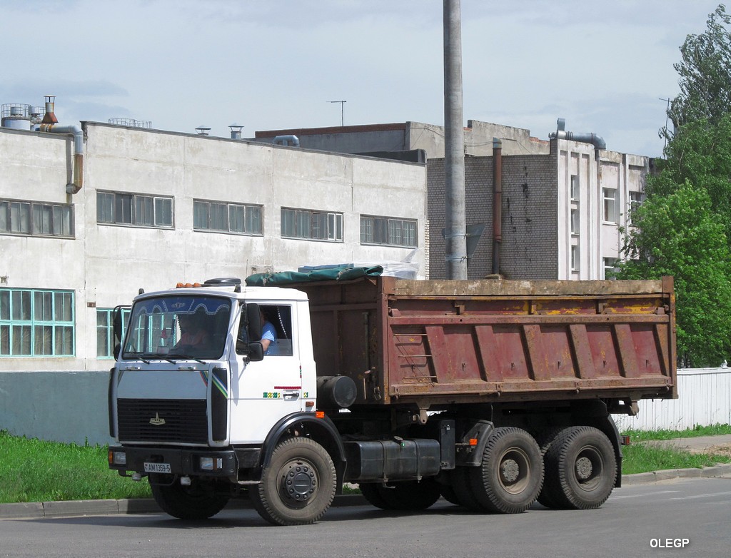 Минская область, № АМ 1359-5 — МАЗ-5516 (общая модель)