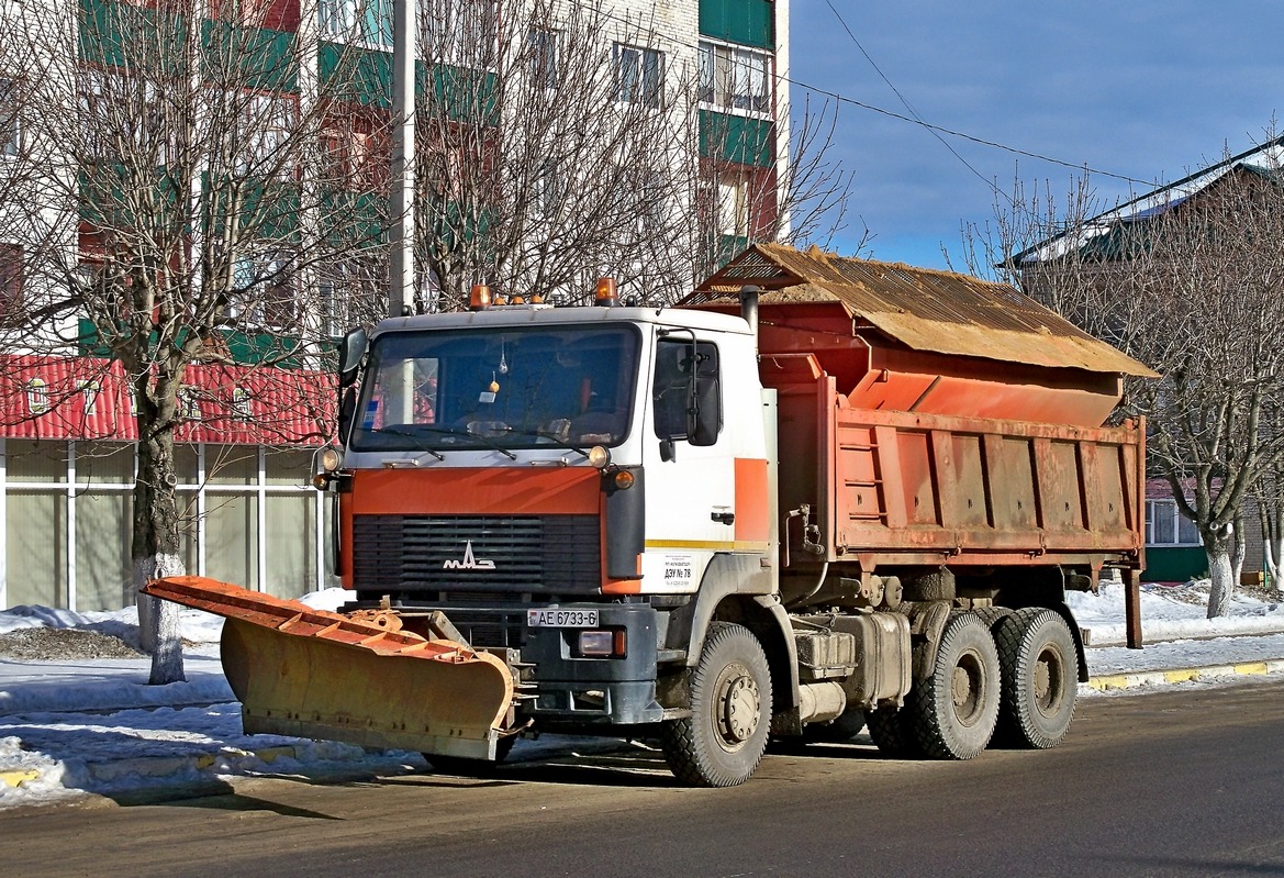 Могилёвская область, № АЕ 6733-6 — МАЗ-6501 (общая модель)