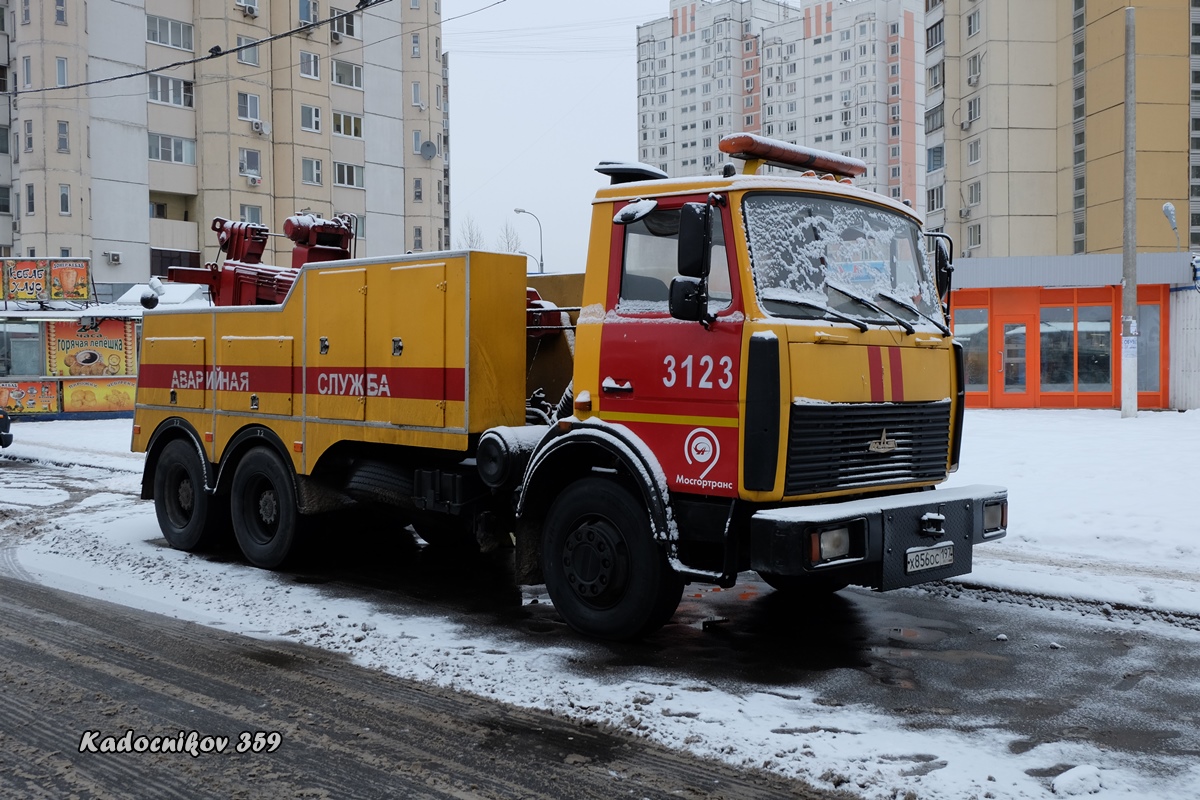 Москва, № 3123 — МАЗ-6303A5