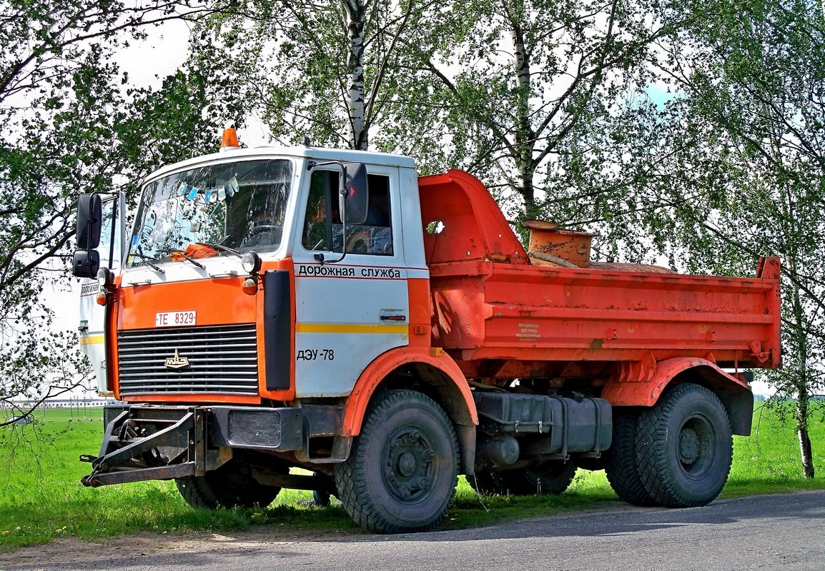 Могилёвская область, № ТЕ 8329 — МАЗ-5551 (общая модель)
