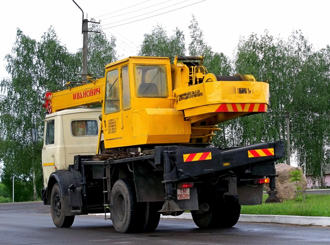 Могилёвская область, № ТМ 3036 — МАЗ-5337 (общая модель)