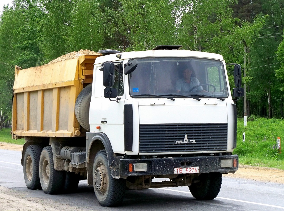Могилёвская область, № ТВ 5274 — МАЗ-5516 (общая модель)
