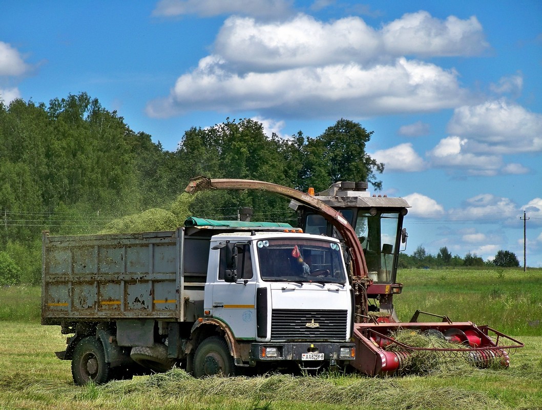 Могилёвская область, № АА 6258-6 — МАЗ-5551 (общая модель)