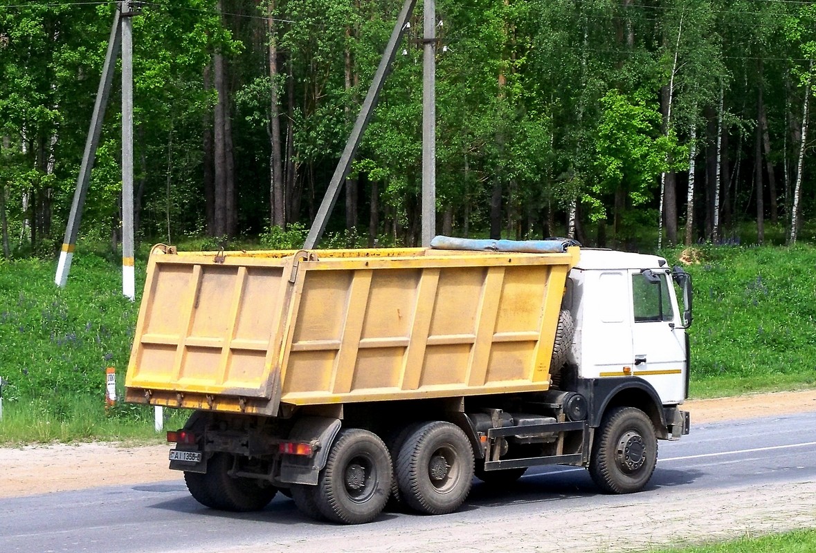 Могилёвская область, № АІ 1356-6 — МАЗ-5516 (общая модель)
