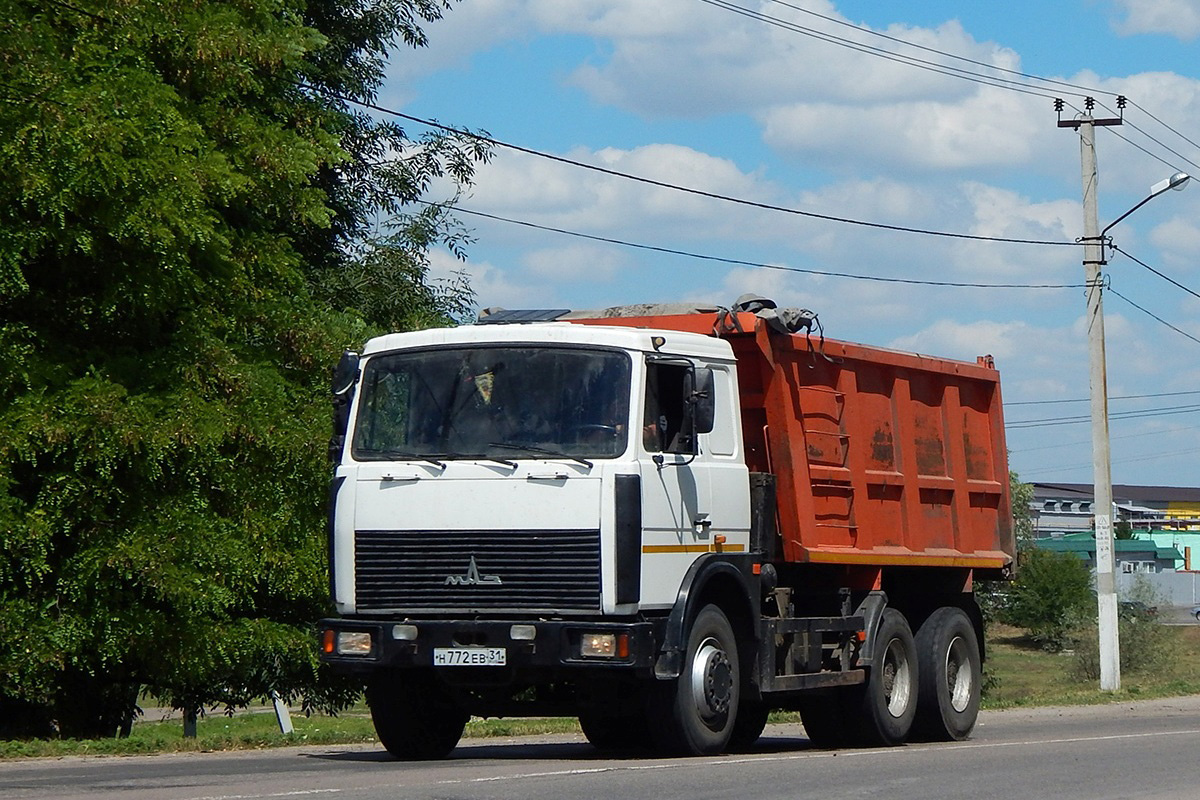 Белгородская область, № Н 772 ЕВ 31 — МАЗ-5516 (общая модель)
