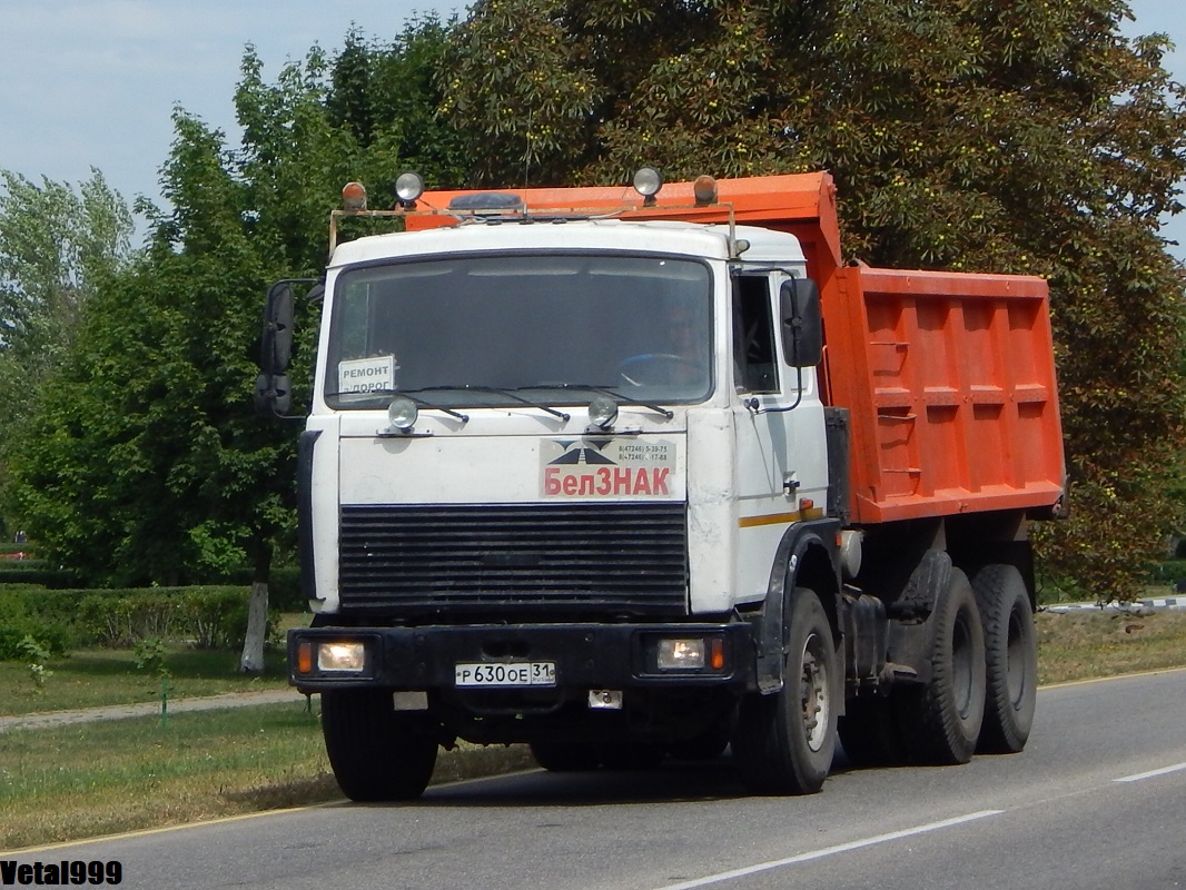 Белгородская область, № Р 630 ОЕ 31 — МАЗ-5516 (общая модель)