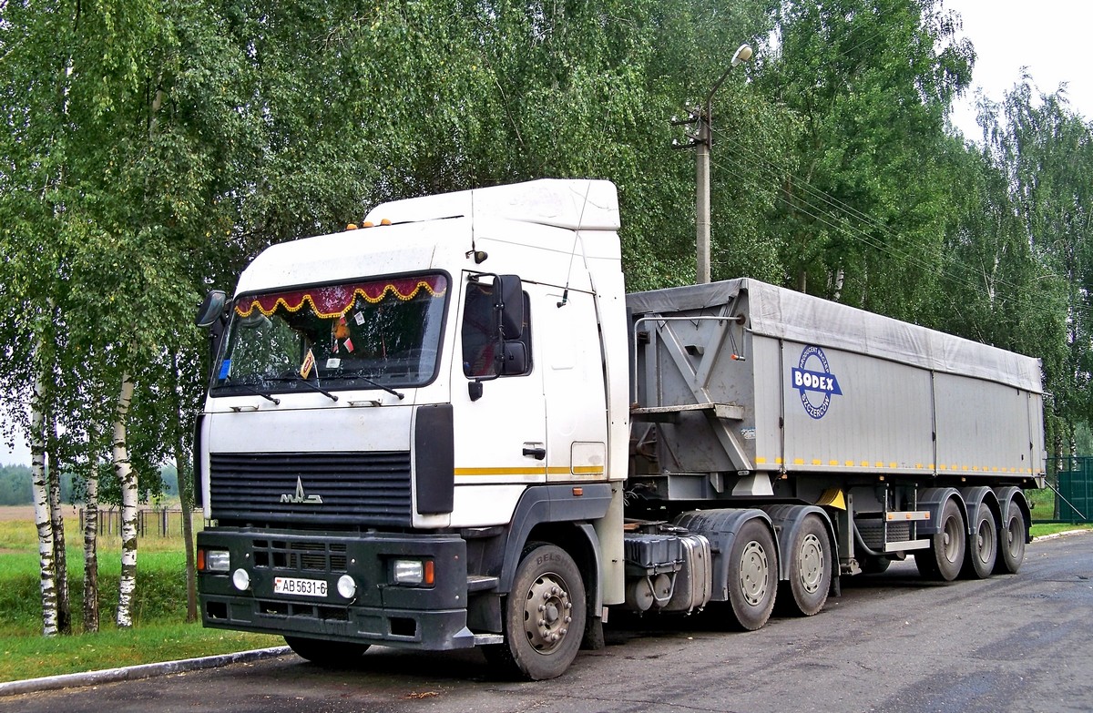Могилёвская область, № АВ 5631-6 — МАЗ-6430 (общая модель)