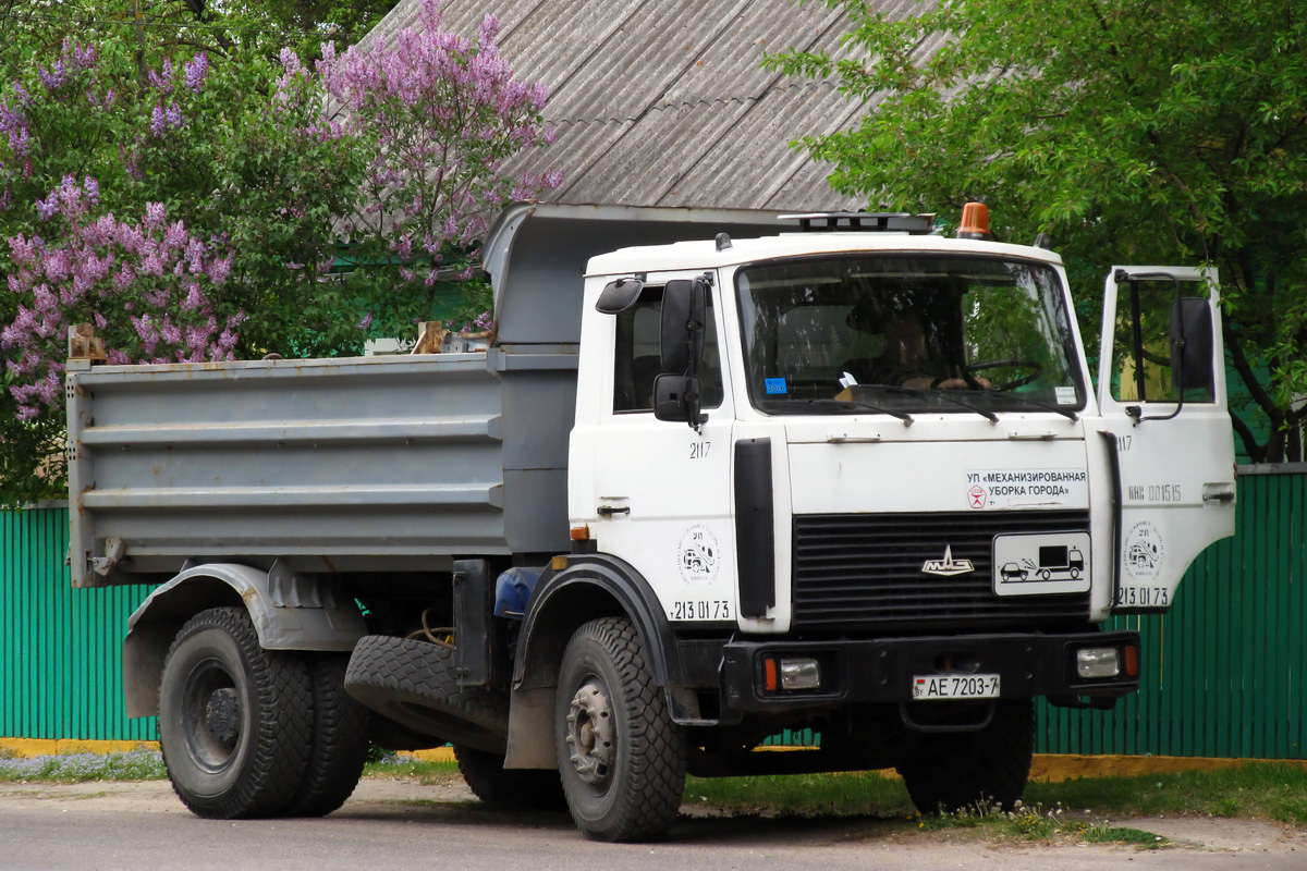 Минск, № 2117 — МАЗ-5551 (общая модель)