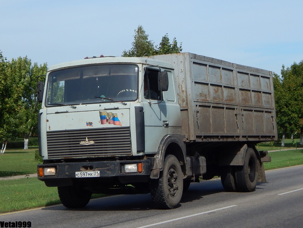 Белгородская область, № С 597 МК 31 — МАЗ-5336 (общая модель)