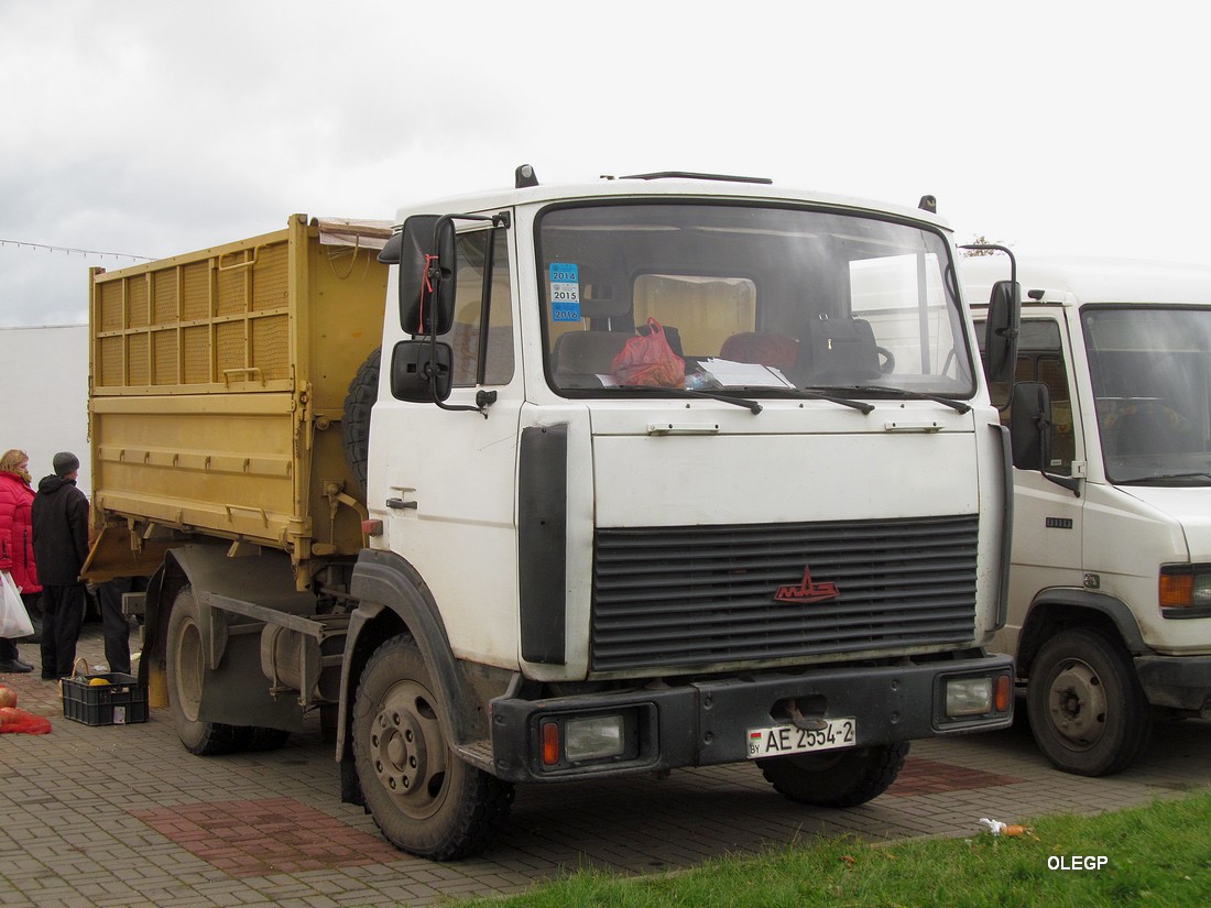 Витебская область, № АЕ 2554-2 — МАЗ-4570 (общая модель)