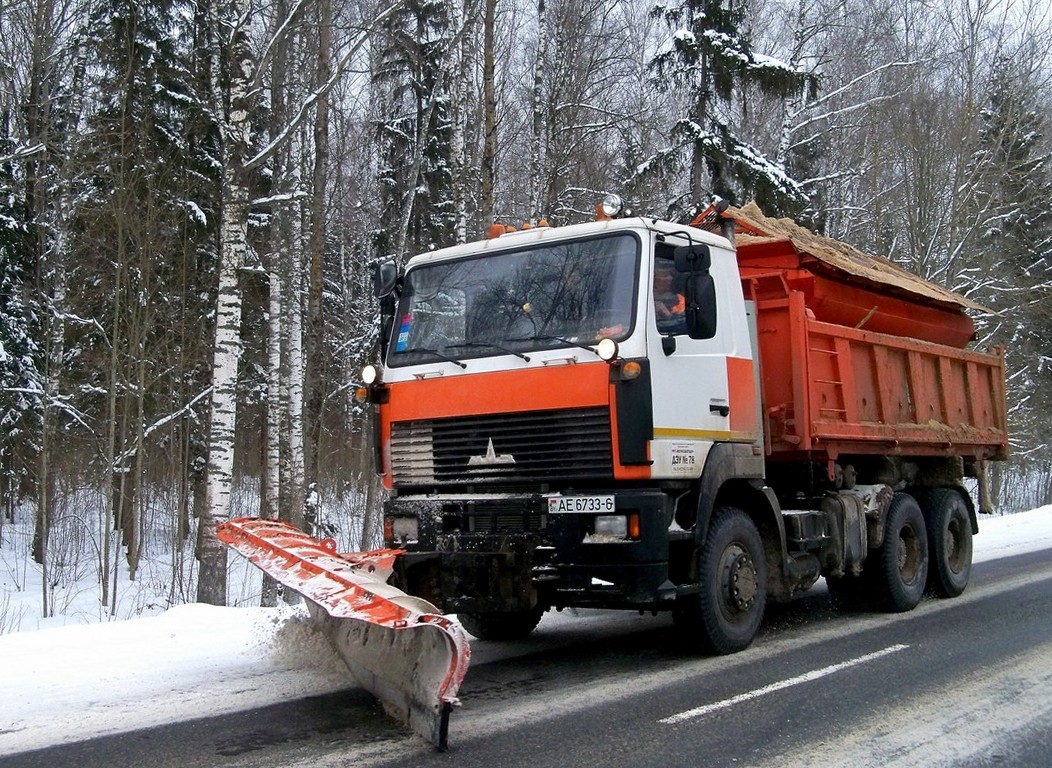 Могилёвская область, № АЕ 6733-6 — МАЗ-6501 (общая модель)