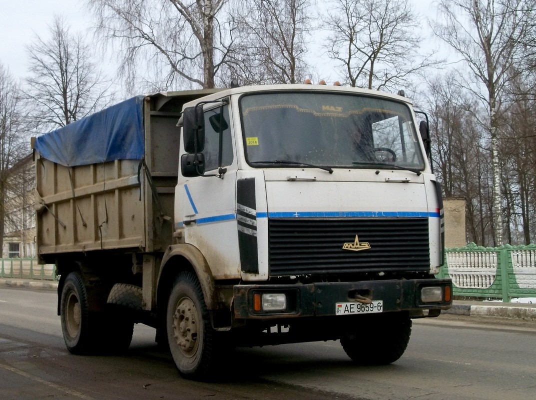 Могилёвская область, № АЕ 9659-6 — МАЗ-5551 (общая модель)