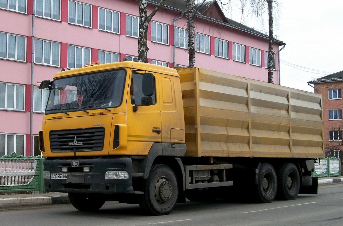 Могилёвская область, № АЕ 9588-6 — МАЗ-6501 (общая модель)