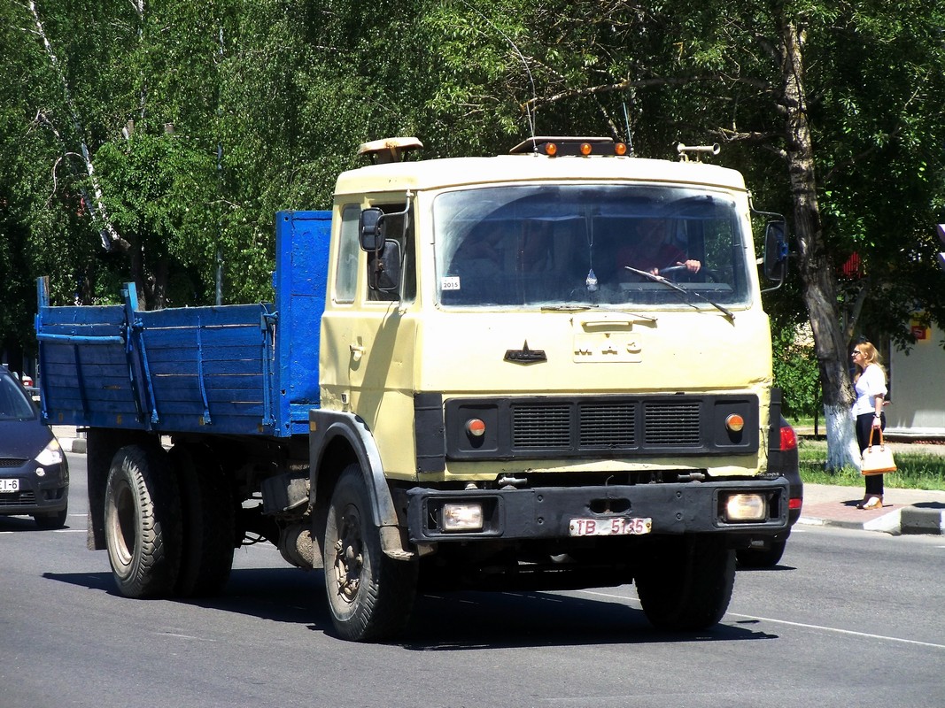 Могилёвская область, № ТВ 5135 — МАЗ-5336 (общая модель)