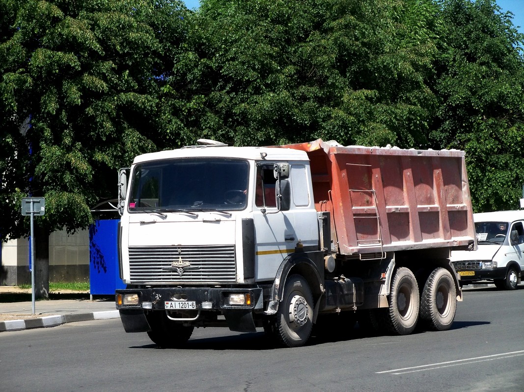 Могилёвская область, № АІ 1201-6 — МАЗ-5516 (общая модель)