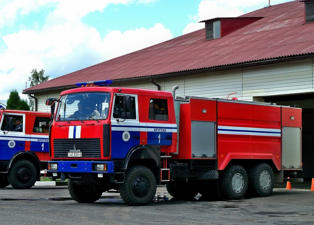 Могилёвская область, № АЕ 8265-6 — МАЗ-6317 (общая модель)