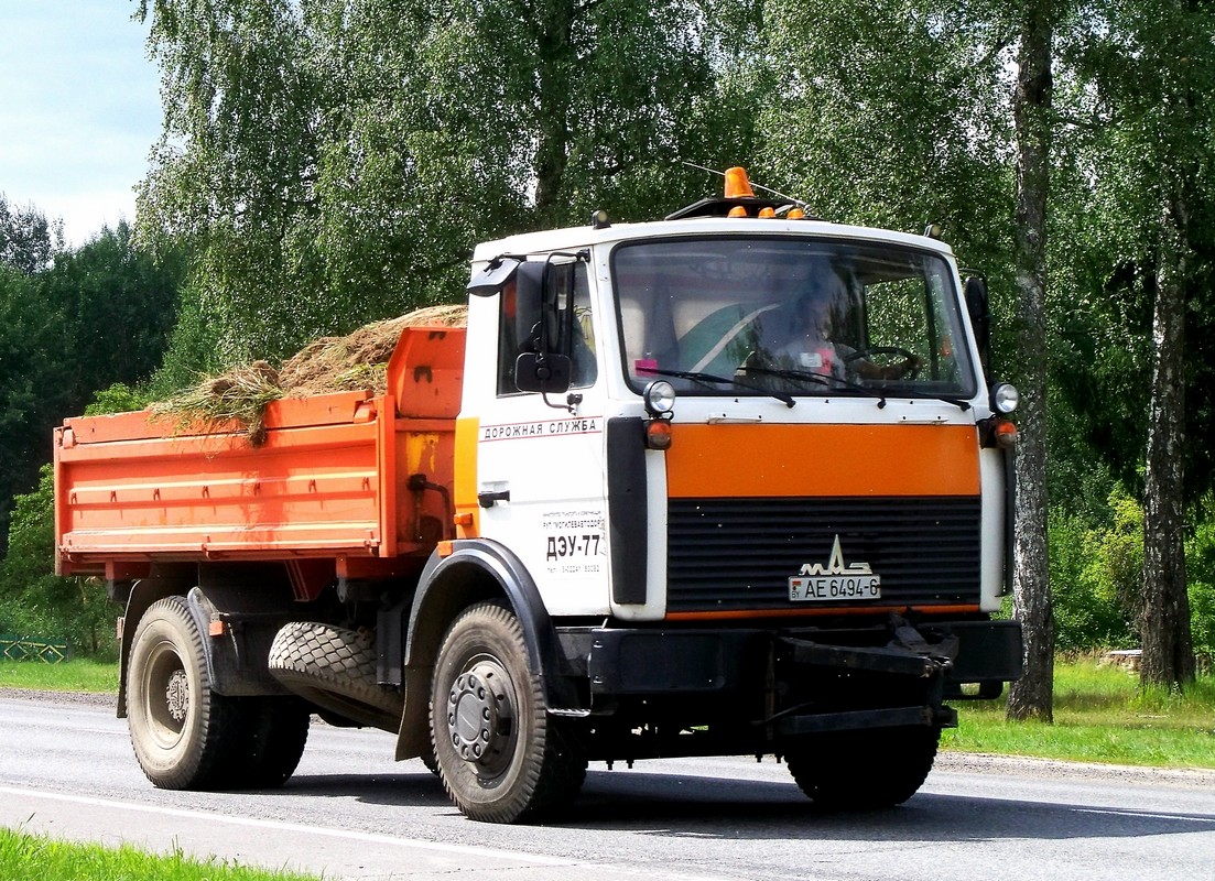 Могилёвская область, № АЕ 6494-6 — МАЗ-5551 (общая модель)