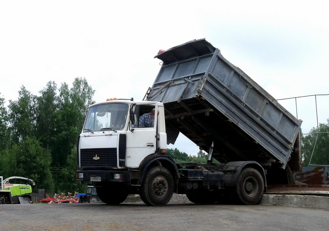 Могилёвская область, № 708 — МАЗ-5551 (общая модель)