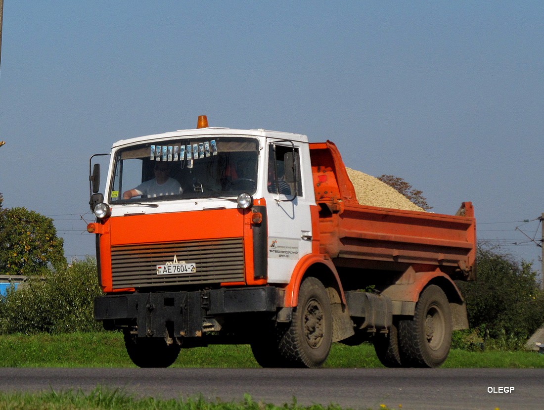 Витебская область, № АЕ 7604-2 — МАЗ-5551 (общая модель)