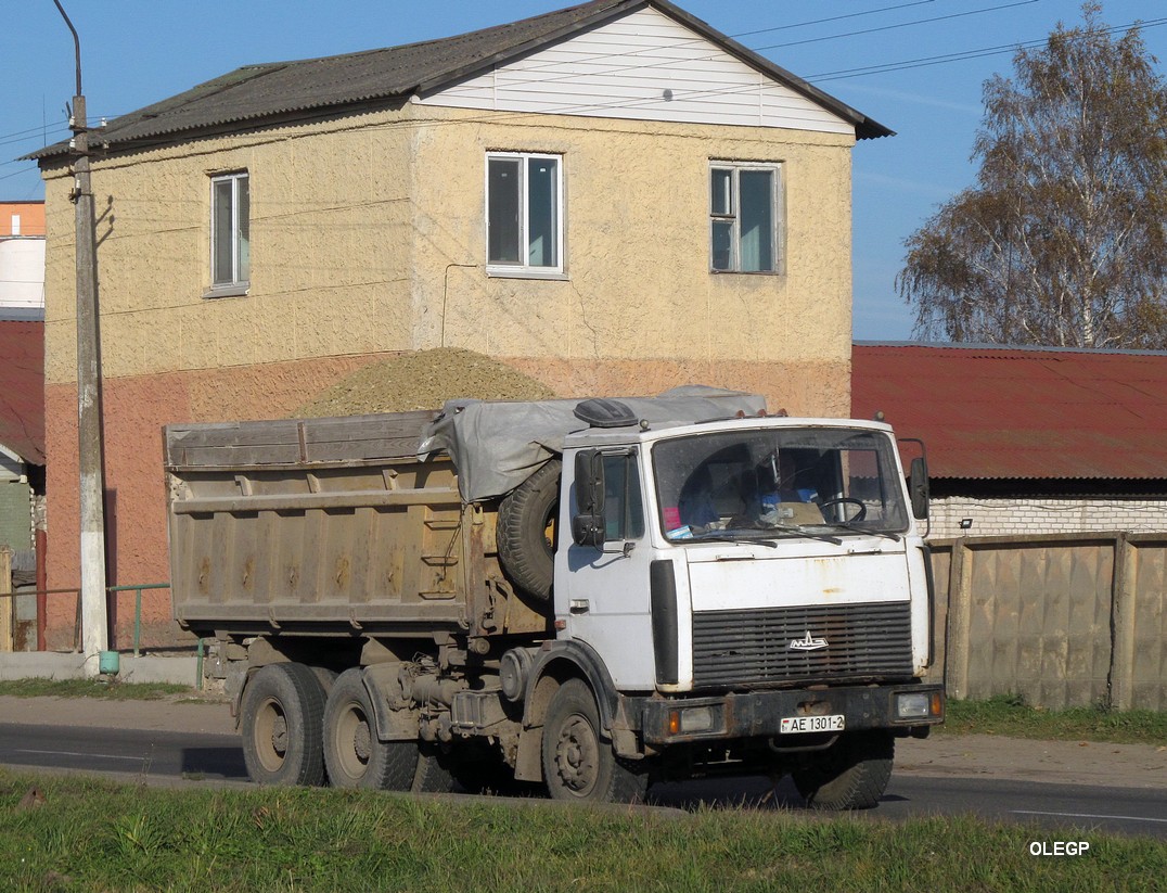 Витебская область, № АЕ 1301-2 — МАЗ-5516 (общая модель)