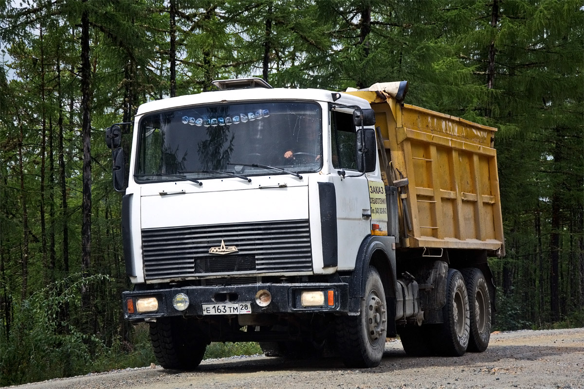 Амурская область, № Е 163 ТМ 28 — МАЗ-5516 (общая модель)