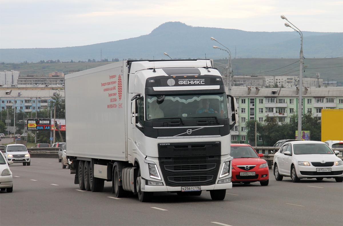 Татарстан, № Х 256 ТС 116 — Volvo ('2012) FH-Series