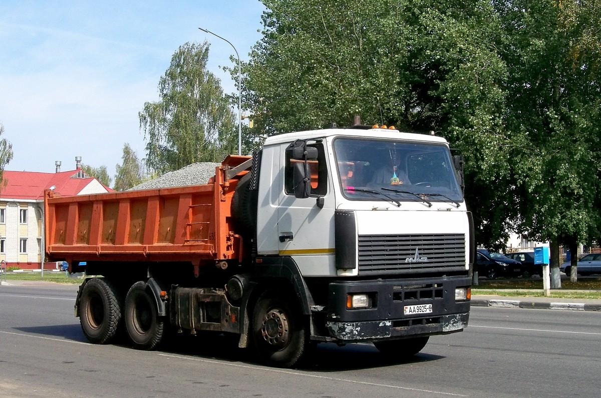 Могилёвская область, № АА 9925-6 — МАЗ-6501 (общая модель)