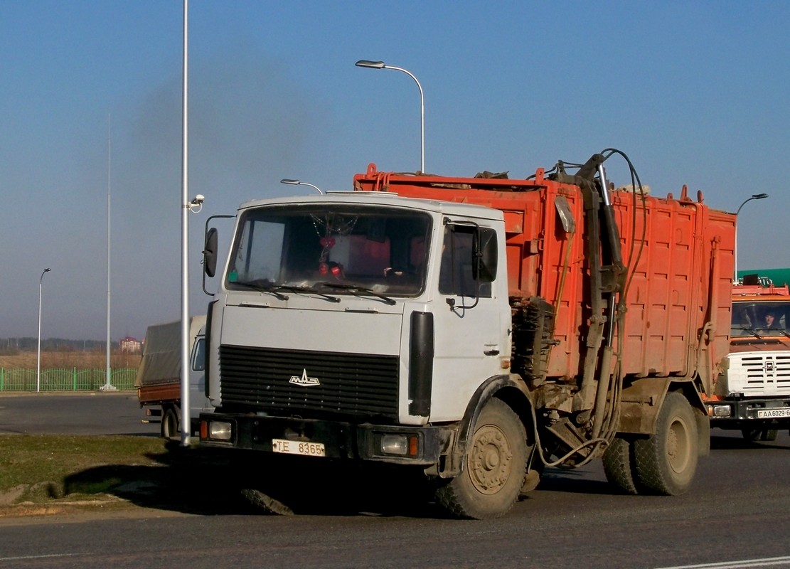 Могилёвская область, № ТЕ 8365 — МАЗ-5337 (общая модель)
