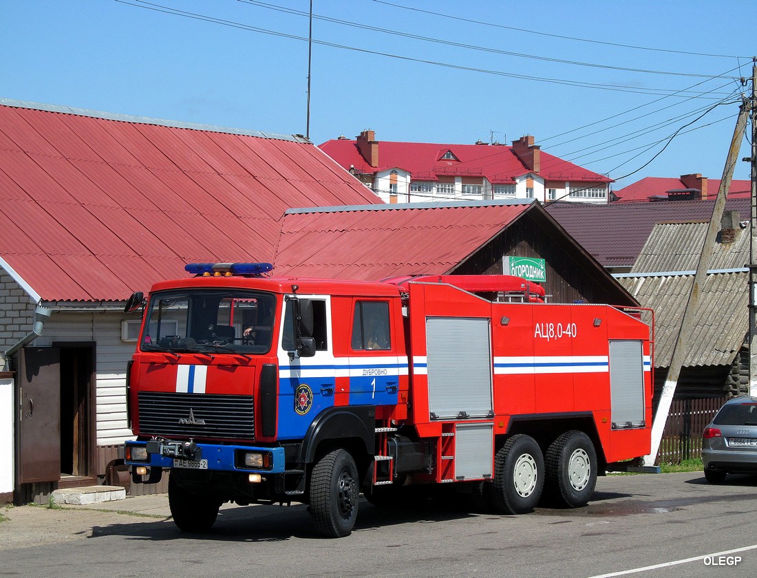 Витебская область, № АЕ 9865-2 — МАЗ-6317 (общая модель)