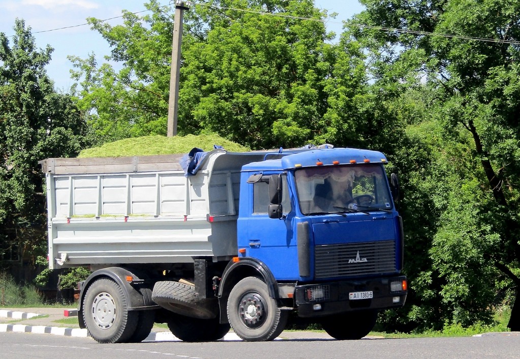 Могилёвская область, № АІ 1383-6 — МАЗ-5551 (общая модель)