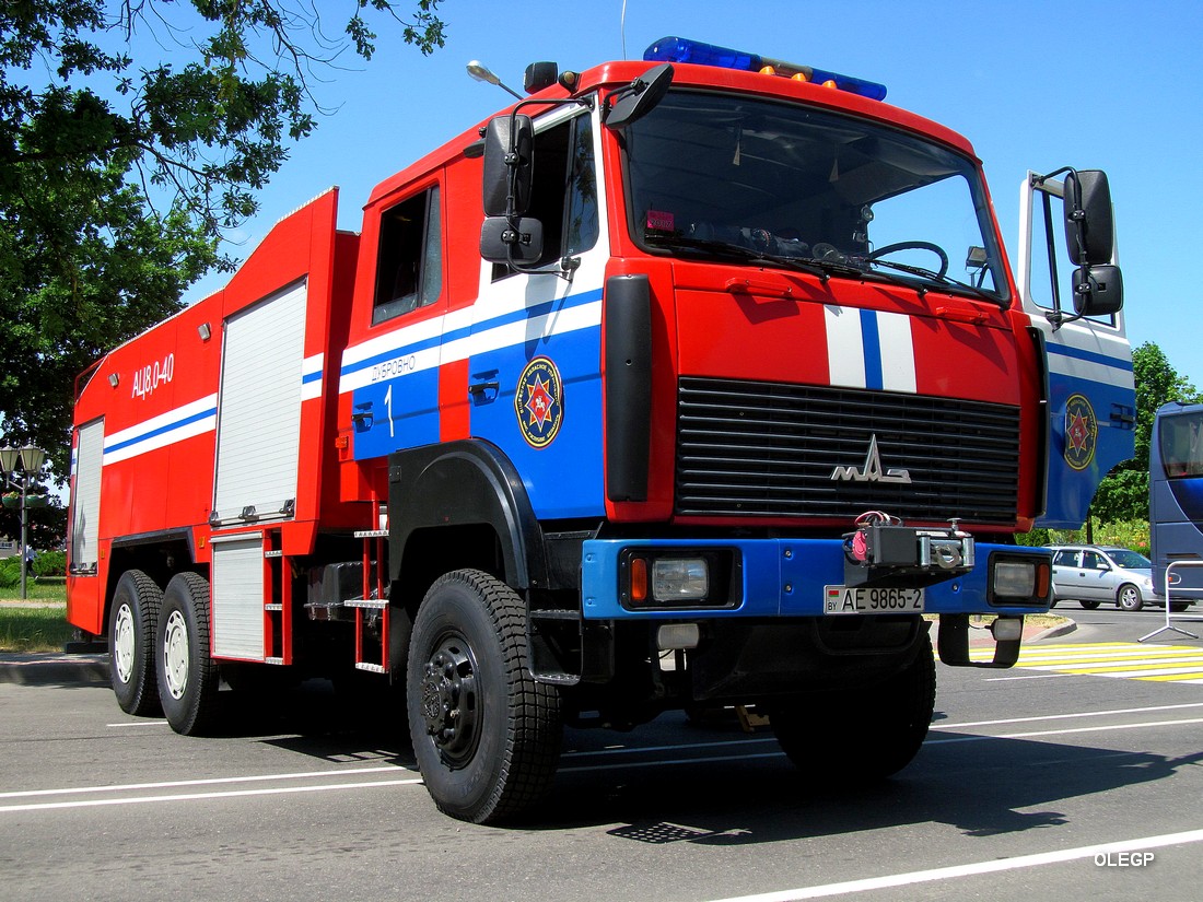 Витебская область, № АЕ 9865-2 — МАЗ-6317 (общая модель)