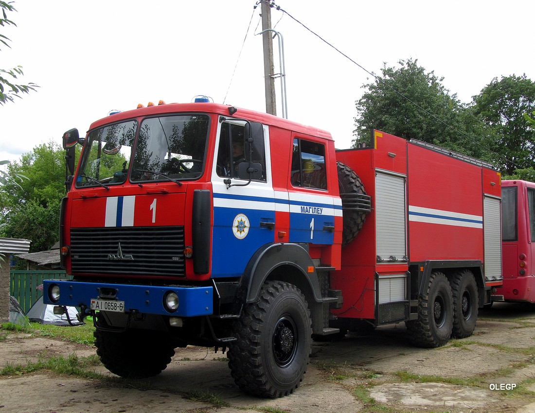 Могилёвская область, № АІ 0658-6 — МАЗ-6317 (общая модель)