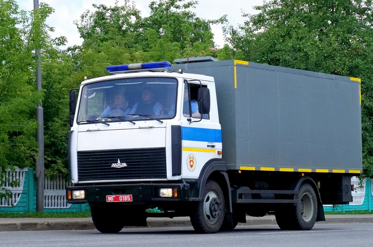 Могилёвская область, № МГ 0185 — МАЗ-4570 (общая модель)