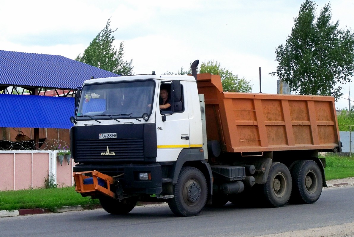 Могилёвская область, № 184 — МАЗ-6501 (общая модель)