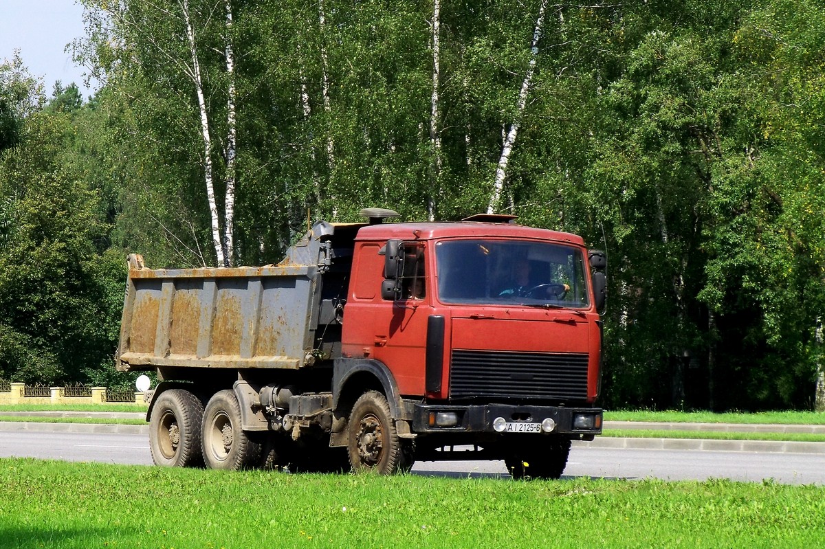 Могилёвская область, № АІ 2125-6 — МАЗ-5516 (общая модель)