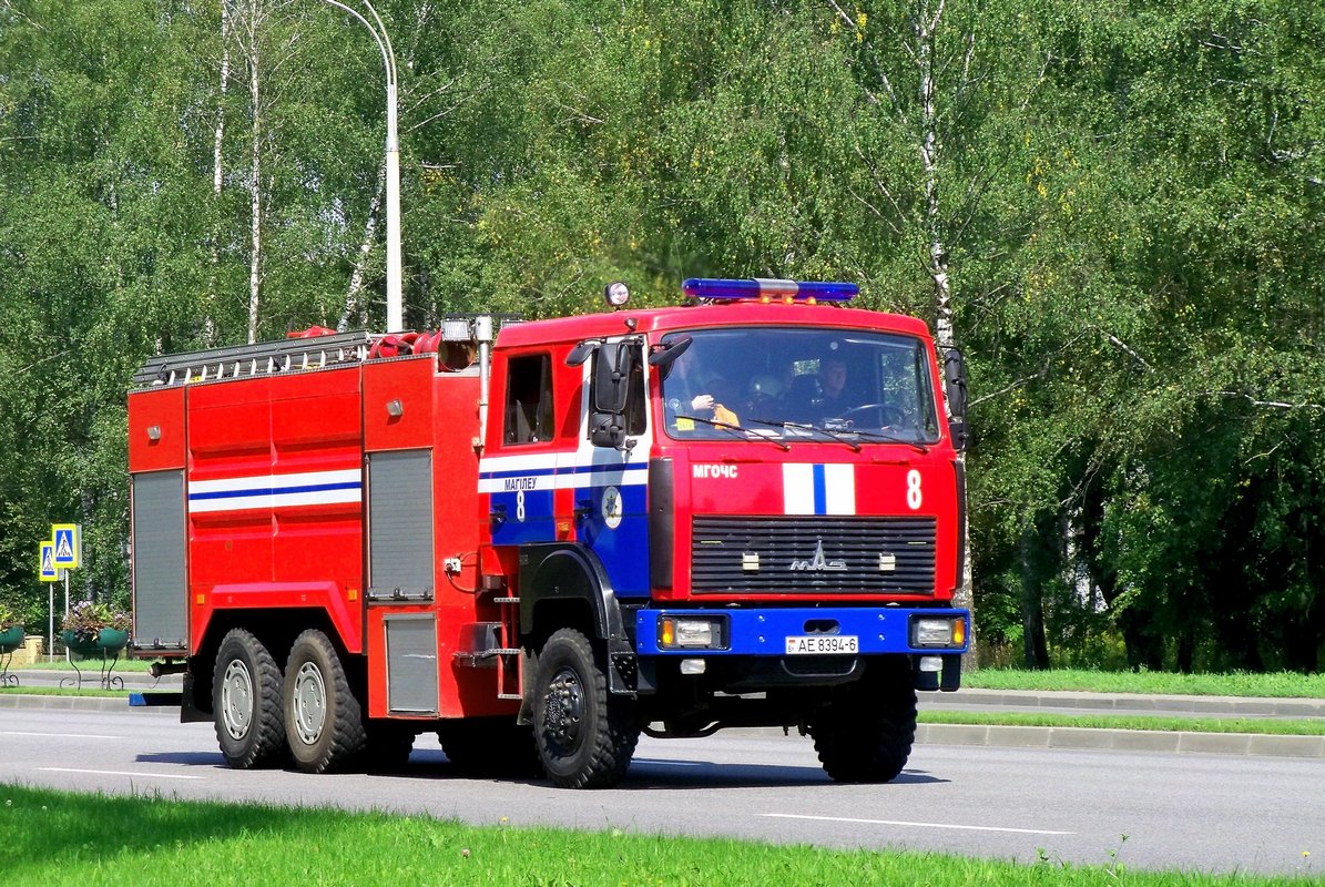 Могилёвская область, № АЕ 8394-6 — МАЗ-6317 (общая модель)
