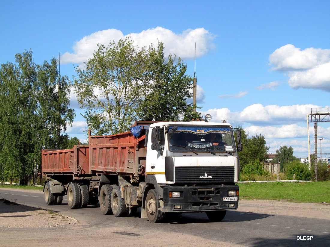 Гомельская область, № АІ 8744-3 — МАЗ-6501 (общая модель)