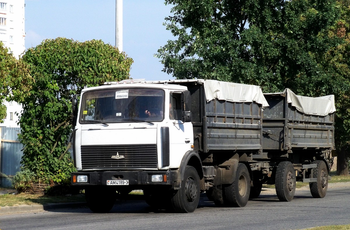 Гомельская область, № АМ 4189-3 — МАЗ-5551 (общая модель)