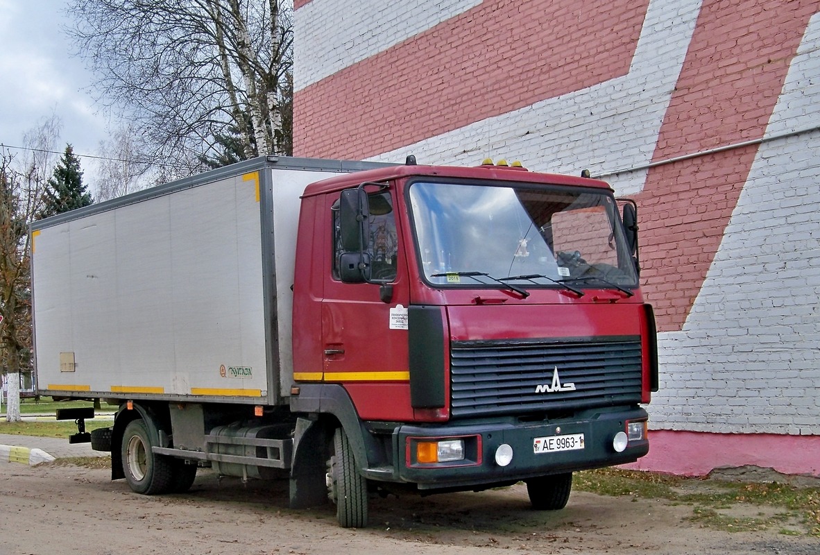 Брестская область, № АЕ 9963-1 — МАЗ-4371 (общая модель)